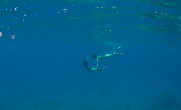 still-the-water-naomi-kawase